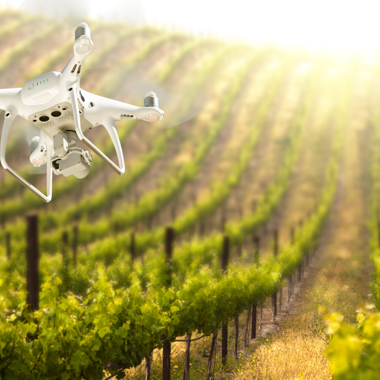 servicios-drones-agricultura